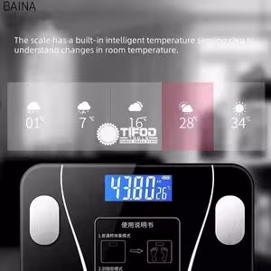Intelligence Weighing Scale - Image 2